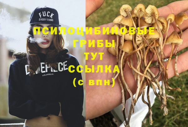 амфетамин Алексеевка